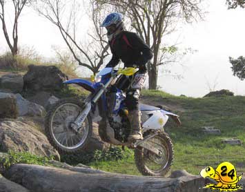 WR 250F