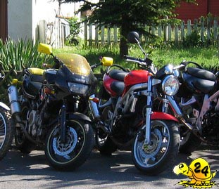 SV und TRX