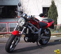 SV 650