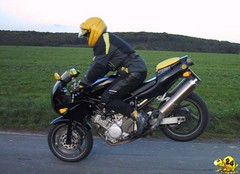 TRX 850